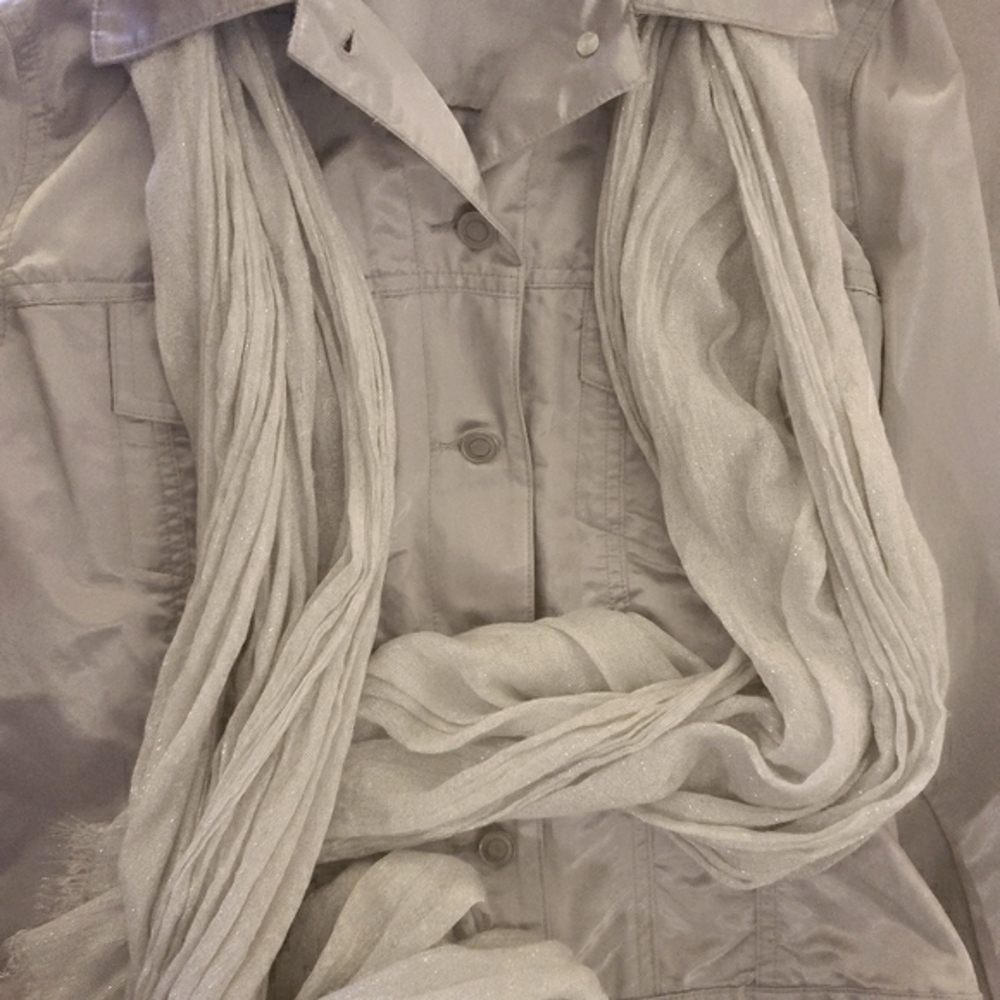 Silver jacket - Picture 6 of 6